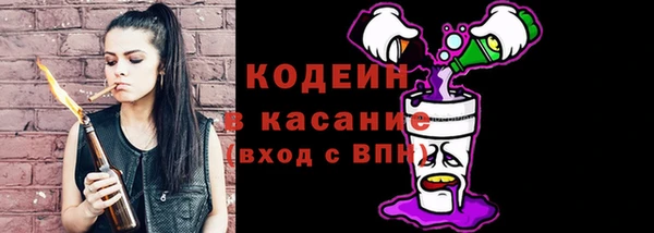 шишки Баксан